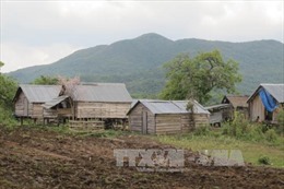 Khó khăn trong việc thu hồi đất rừng bị lấn chiếm ở huyện Krông Pa 